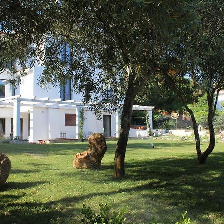 Villa La Conchiglia Rooms Cala Liberotto Luaran gambar